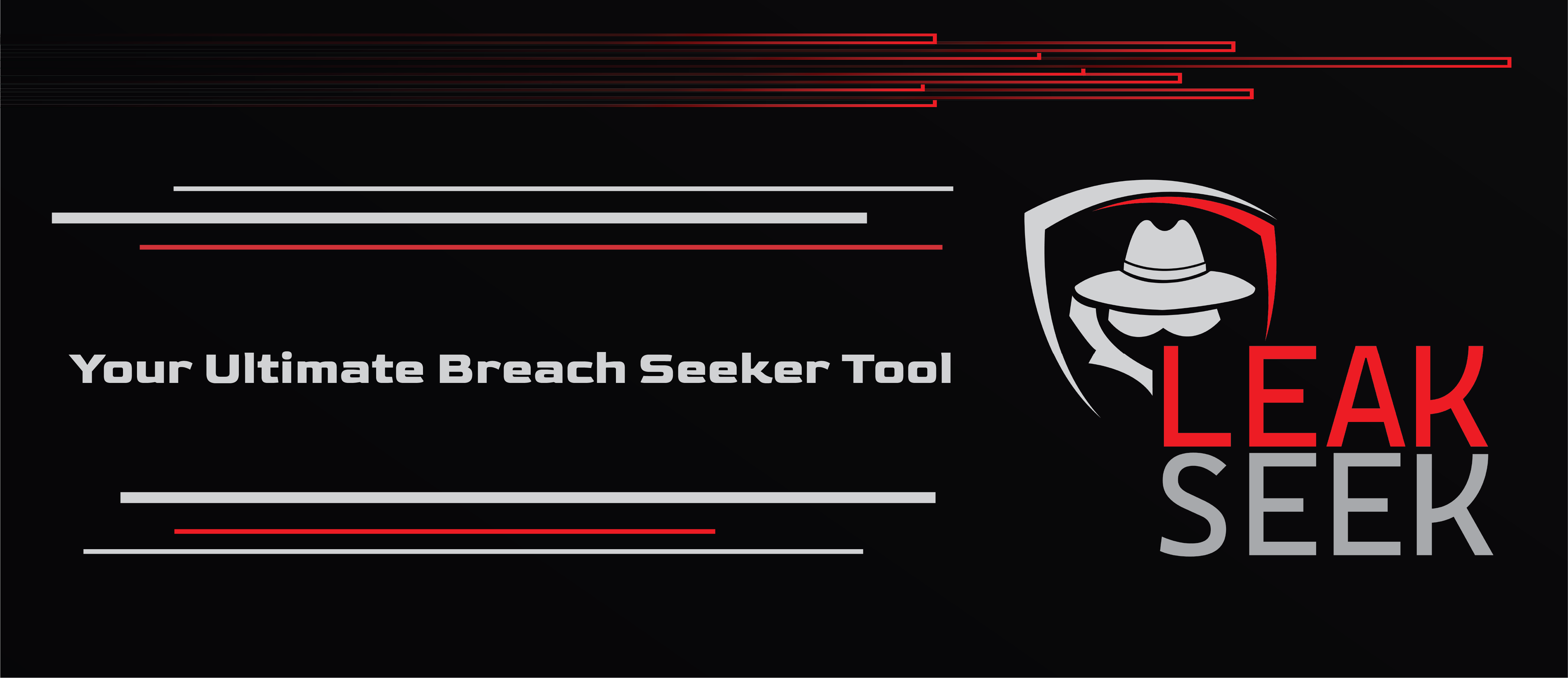 Leak Seek